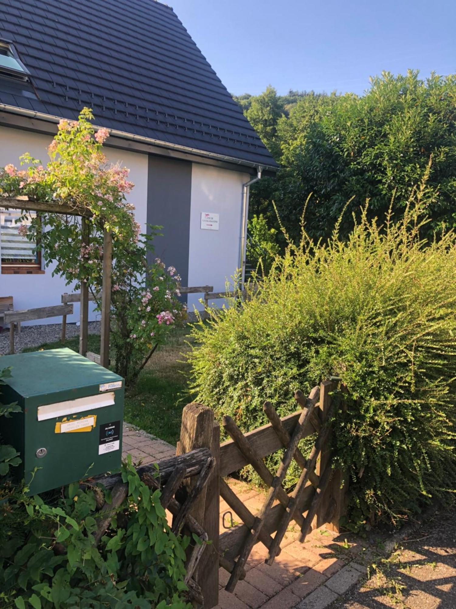 Gite De La Salamandre - 4 A 8 Personnes Lapoutroie Exteriér fotografie